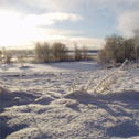 vinter